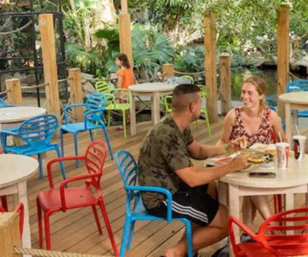 Break Point
